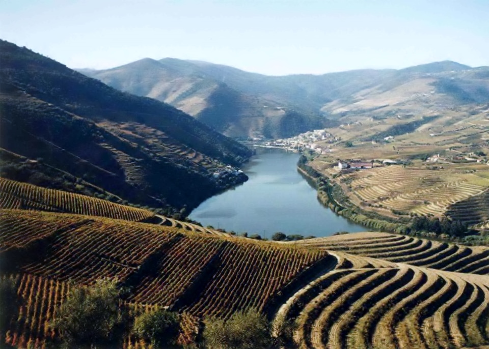 Cata_Oportos_En_torno_al_Vino_paisaje_espectacular_Oporto